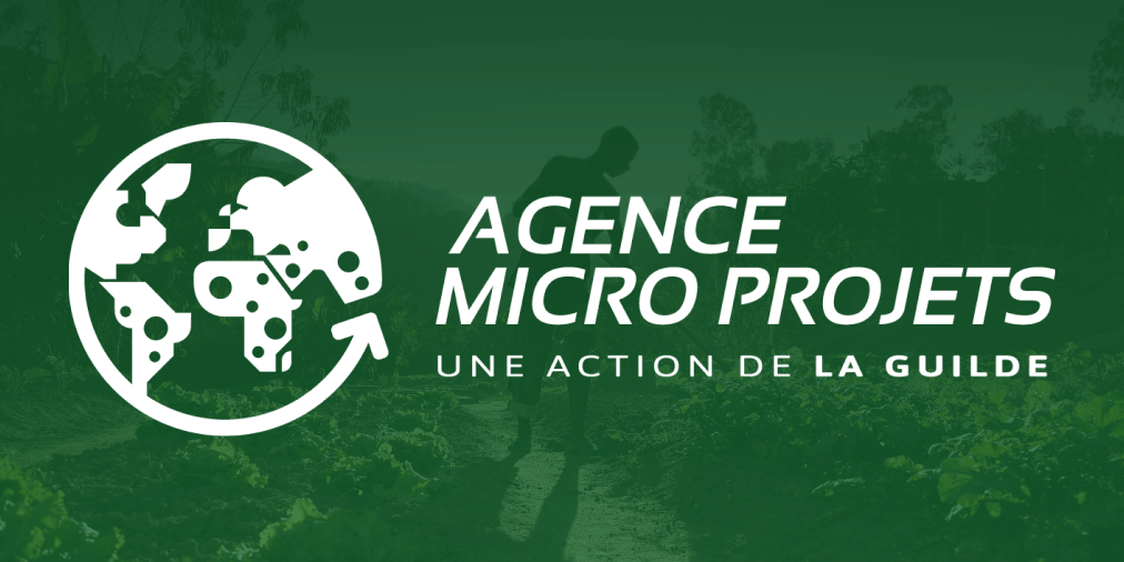 Financements micro projets
